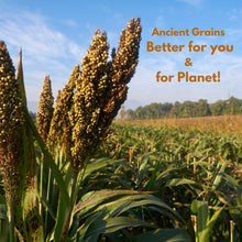 NIHKAN Sprouted Jowar Flour (Sorghum Flour) - Gluten free flour - 400g