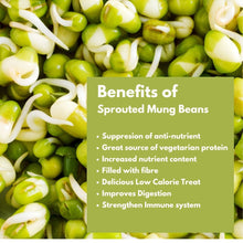 NIHKAN Sprouted Green Moong Bean Flour - High Protein Flour - 200g