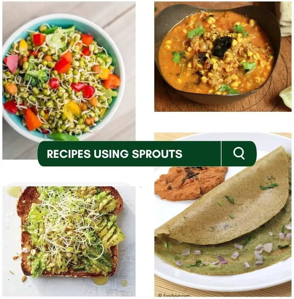 NIHKAN Combo High Protein Instant Sprouts – Mung Bean & Super 7 Grain Mix - 200g each