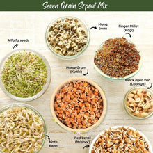 NIHKAN Dehydrated Sprouts – Super 7 Grain Mix - Instant Sprouts - 200g