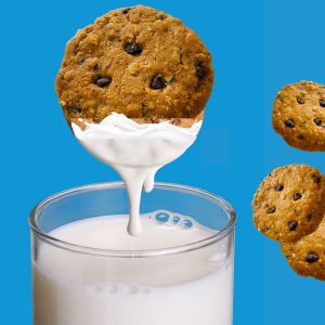 NIHKAN Vegan Cookies - CHOCOCHIP